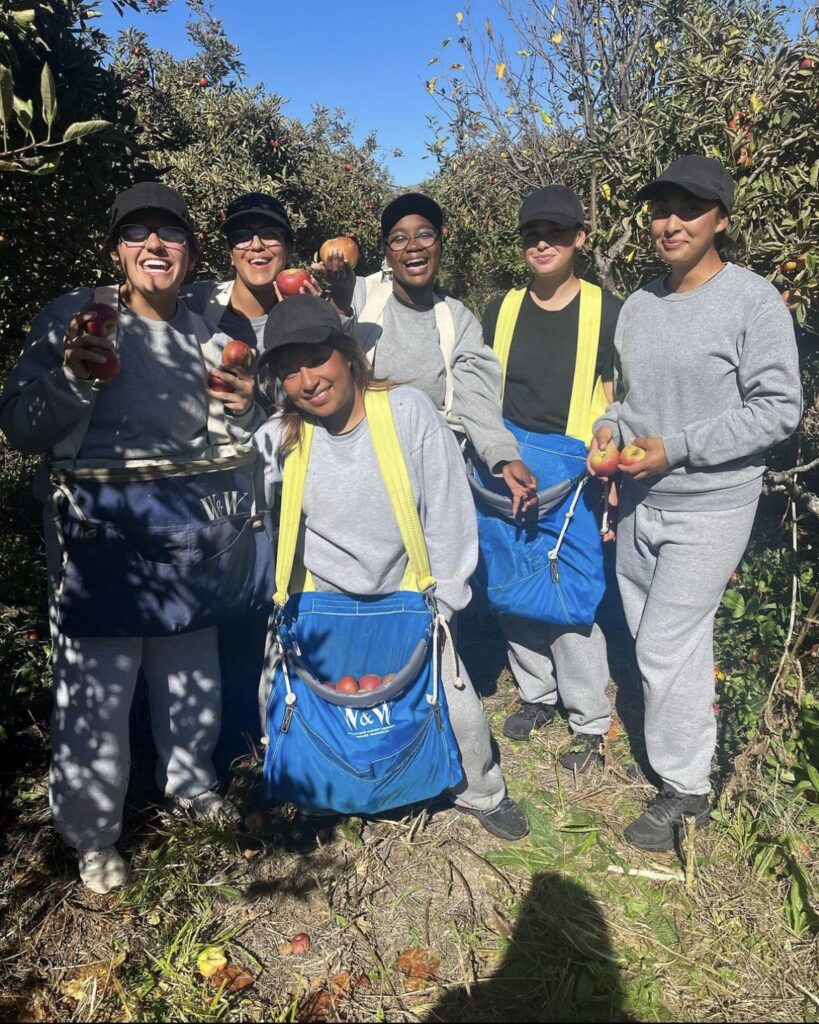 A group of students in an orchard, picking fruit, smiling.